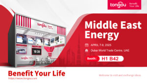 tongou in dubai