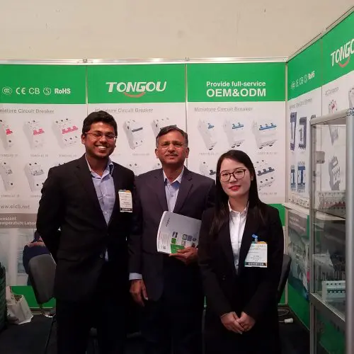 2016 Egypt electric and Solar Energy Expo